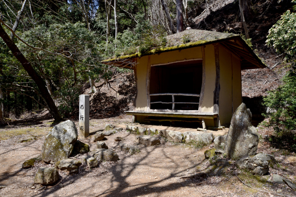見渡す限りピンク一色！世界遺産「奈良・吉野山」で見る神秘的な