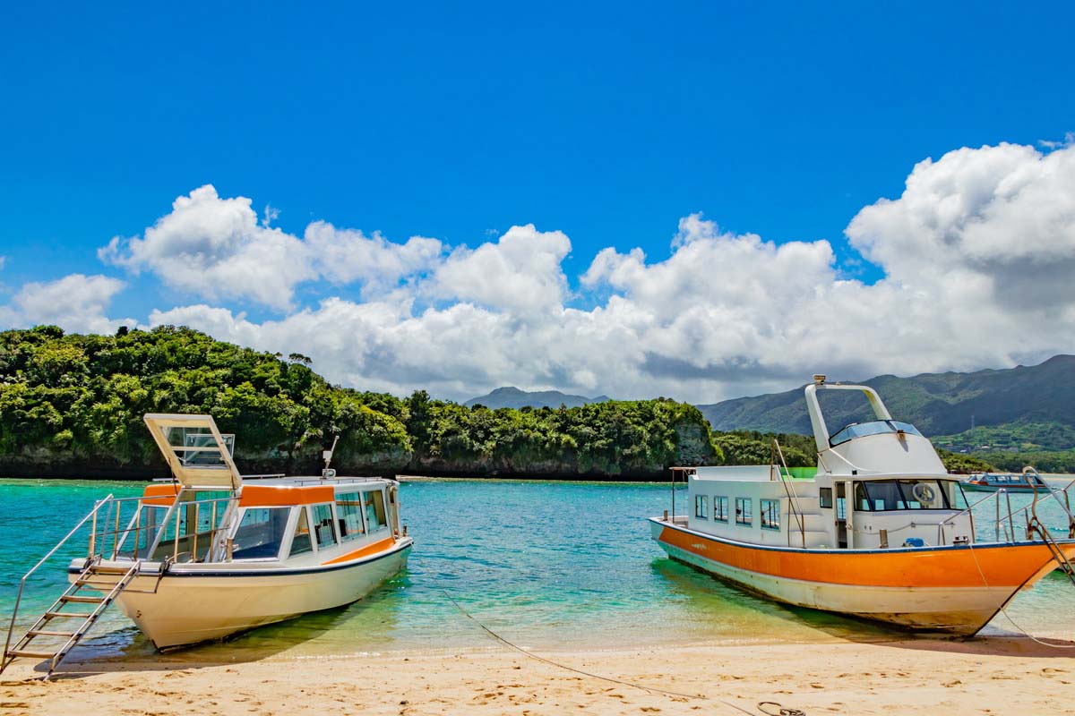 中野治郎　[祖谷　かずら橋]油彩画 徳島県三好町　自然風景 吊り橋 中野治郎 [祖谷 かずら橋]油彩画 徳島県三好町 自然風景 吊り橋
