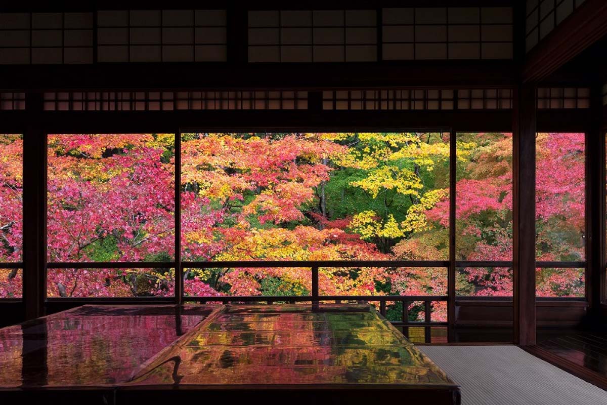 2024年】11月下旬〜12月が見頃の京都の紅葉スポット10選｜ZEKKEI