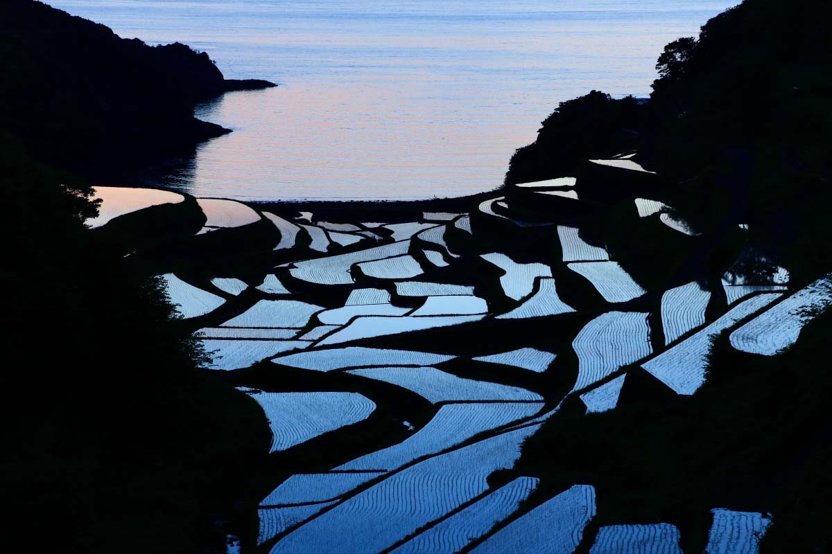 浜野浦の棚田