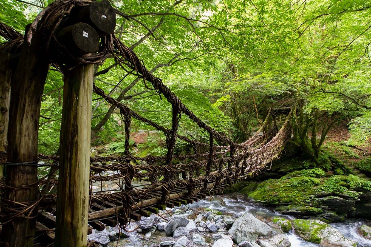 奥祖谷二重かずら橋