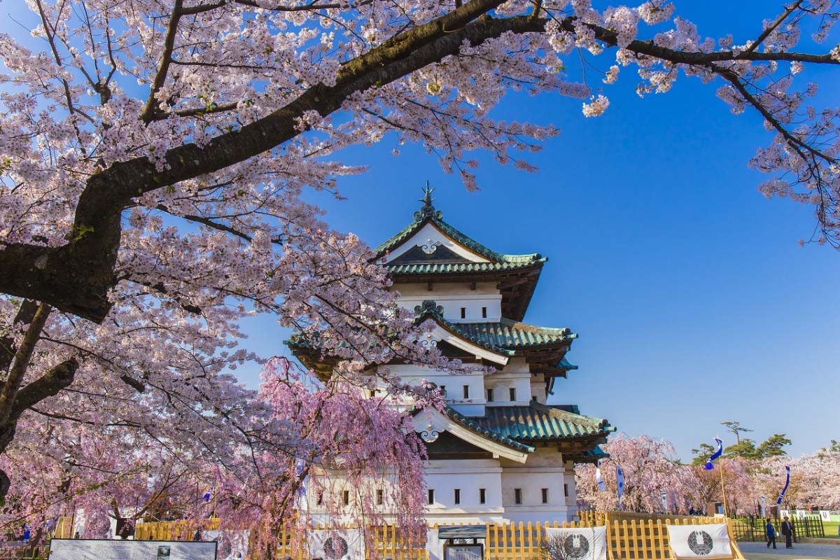 りんごで有名な街!弘前市の楽しみ方6選【弘前公園】|観光情報|ZEKKEI Japan