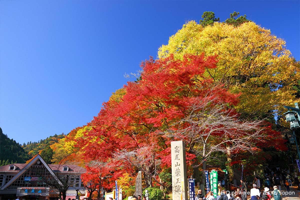 2018年版】東京のおすすめ紅葉スポット10選！MAPとともにご紹介