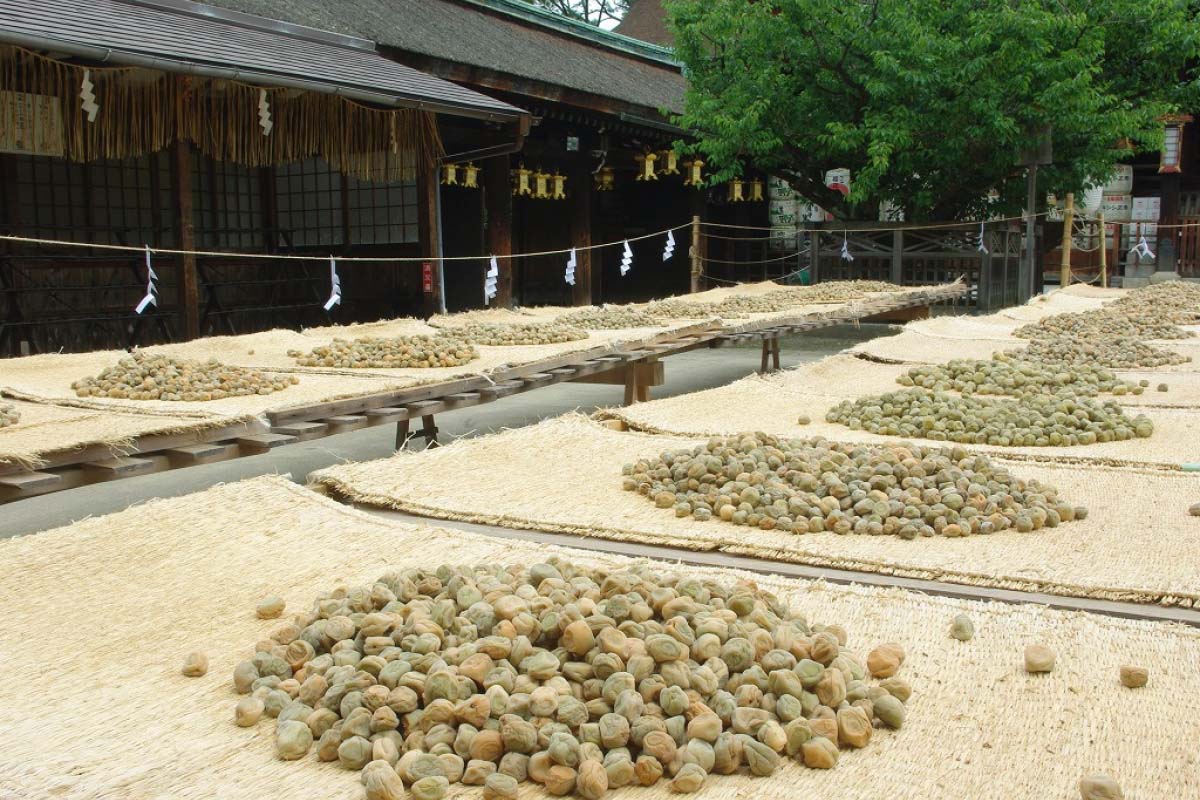北野天満宮
