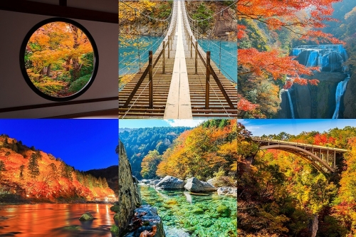 JKworks「紅葉」 JKworks「紅葉」