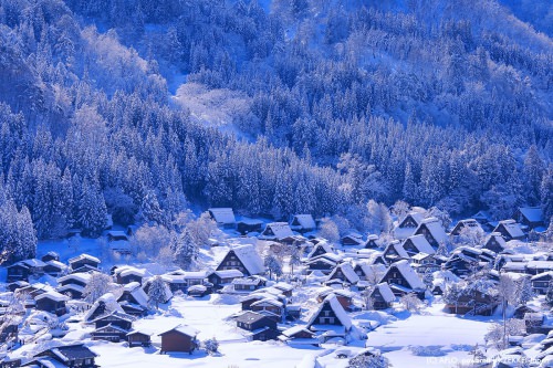 新年に行きたい！ZEKKEI Japan編集部が選ぶ冬の絶景30選｜ZEKKEI Japan