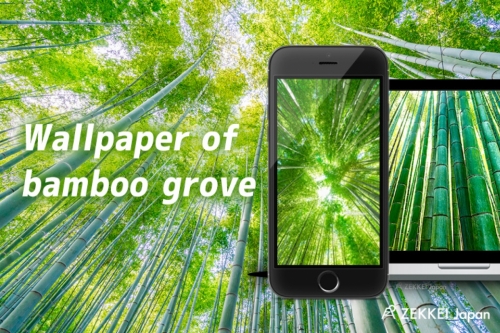 Japan S Wallpaper A Wallpaper Of Bamboo Grove Rustling And Swaying In The Wind Is For Your Standby Screen Zekkei Japan