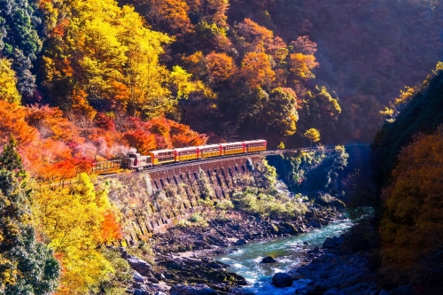 Autumn in Japan is so beautiful! ZEKKEI's Captivating Fall