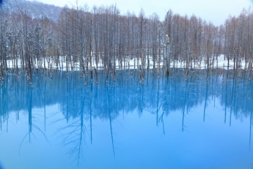 あなたのパソコン スマホに絶景を 美しい池のzekkei壁紙をプレゼント Zekkei Japan
