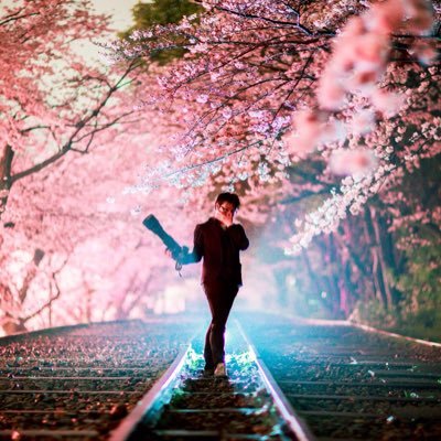 桜の名所が冬に見せる雪景色が、幻想的な美しさ！｜ZEKKEI Japan