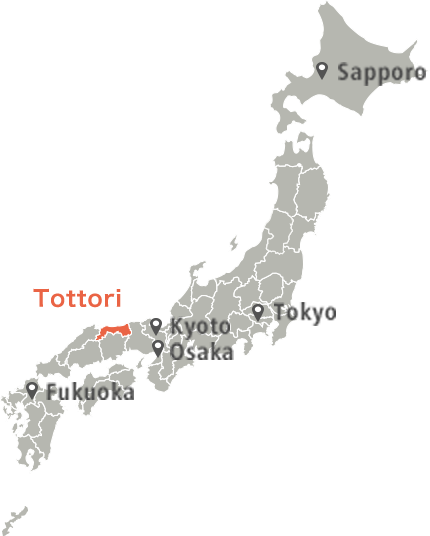 鳥取砂丘の絶景 Zekkei Japan