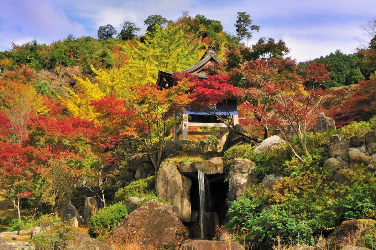 旧枠 樹木茂る山麓 英英英日 ４枚セット 状態悪 PLD](フルアート)樹木茂る山麓/Wooded Foothills《日本語》【ZNE】