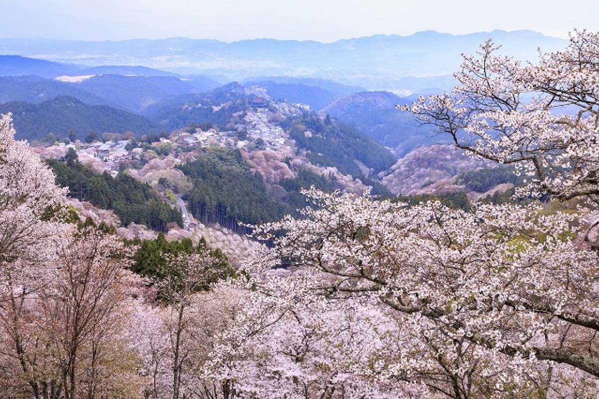 吉野山の絶景｜ZEKKEI Japan