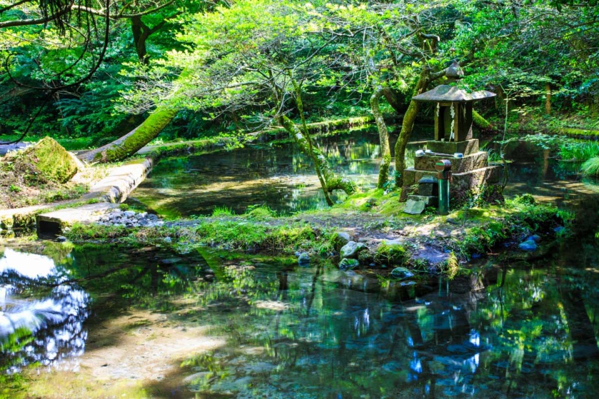 山吹水源的景點資訊 絕景日本