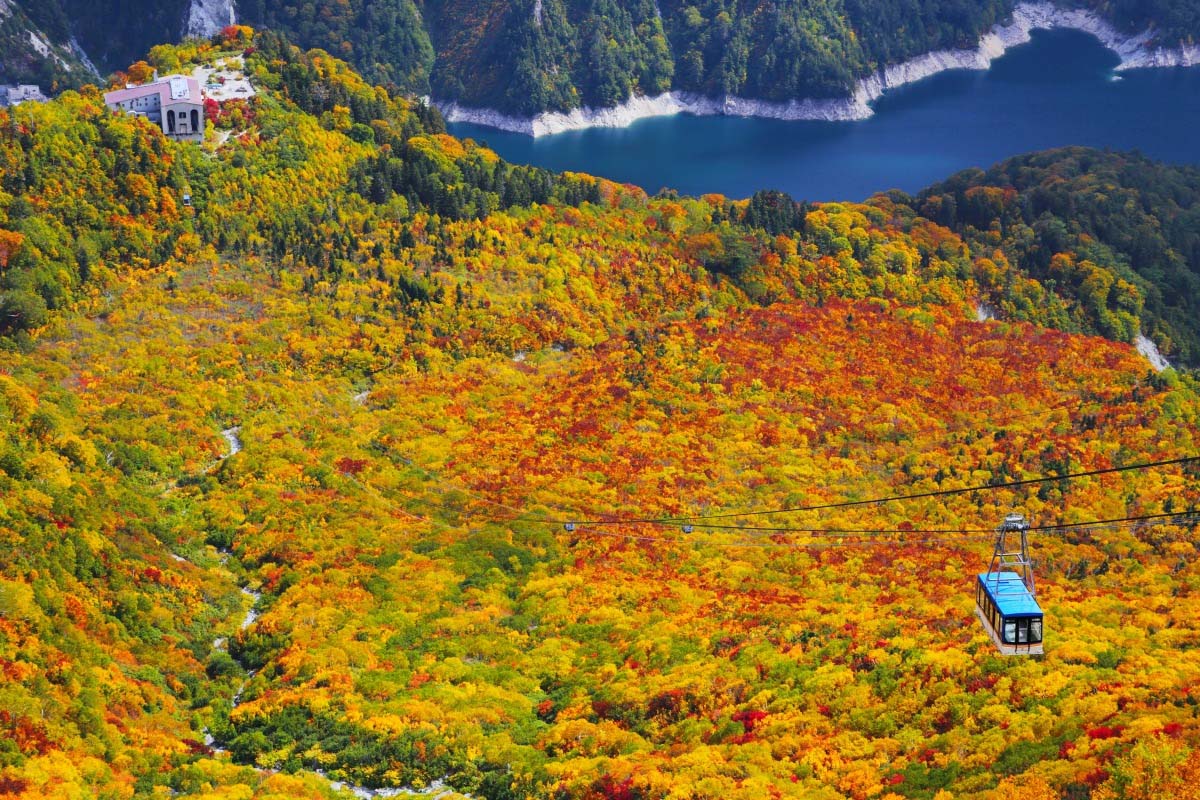 立山缆车的景点|绝景日本
