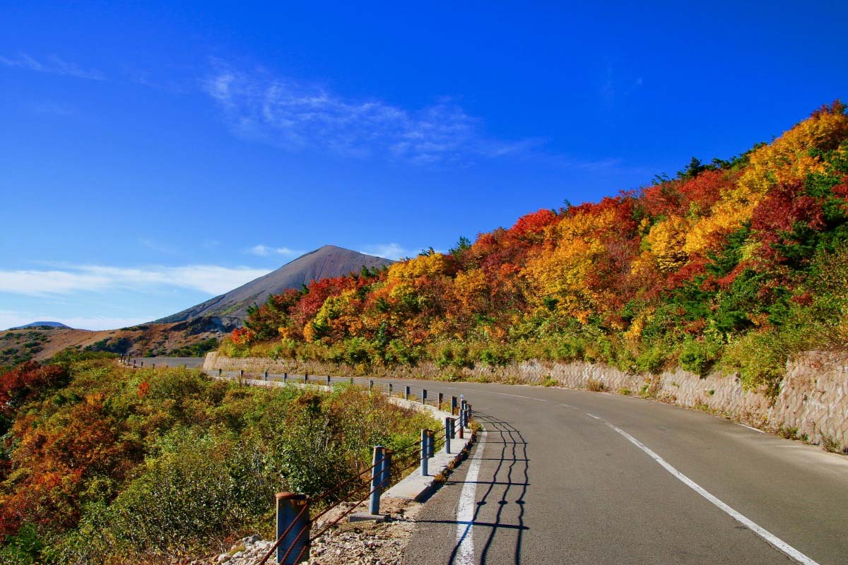 風景 日光いろは坂 Images – Browse 79 Stock Photos, Vectors, and