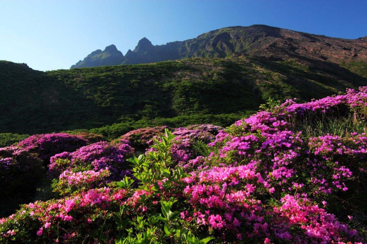Sensuikyo (Sensuikyo Valley)