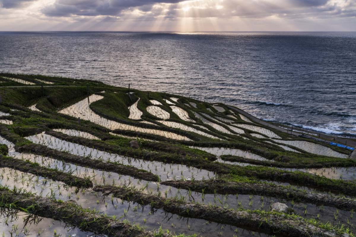 白米千枚田|石川県能登輪島の棚田