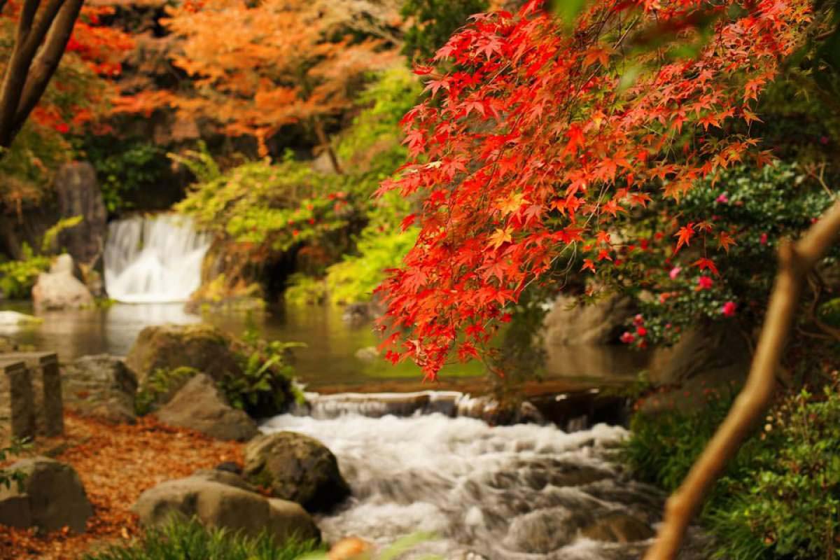 日本の風景　自然公園50周年記念 日本の風景 自然公園50周年記念・国立公園写真集 環境庁自然保護