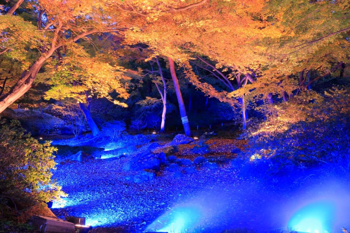 袋帯 六通 横笛 桜尽くし 寺院 言うまでもなし 24M605f