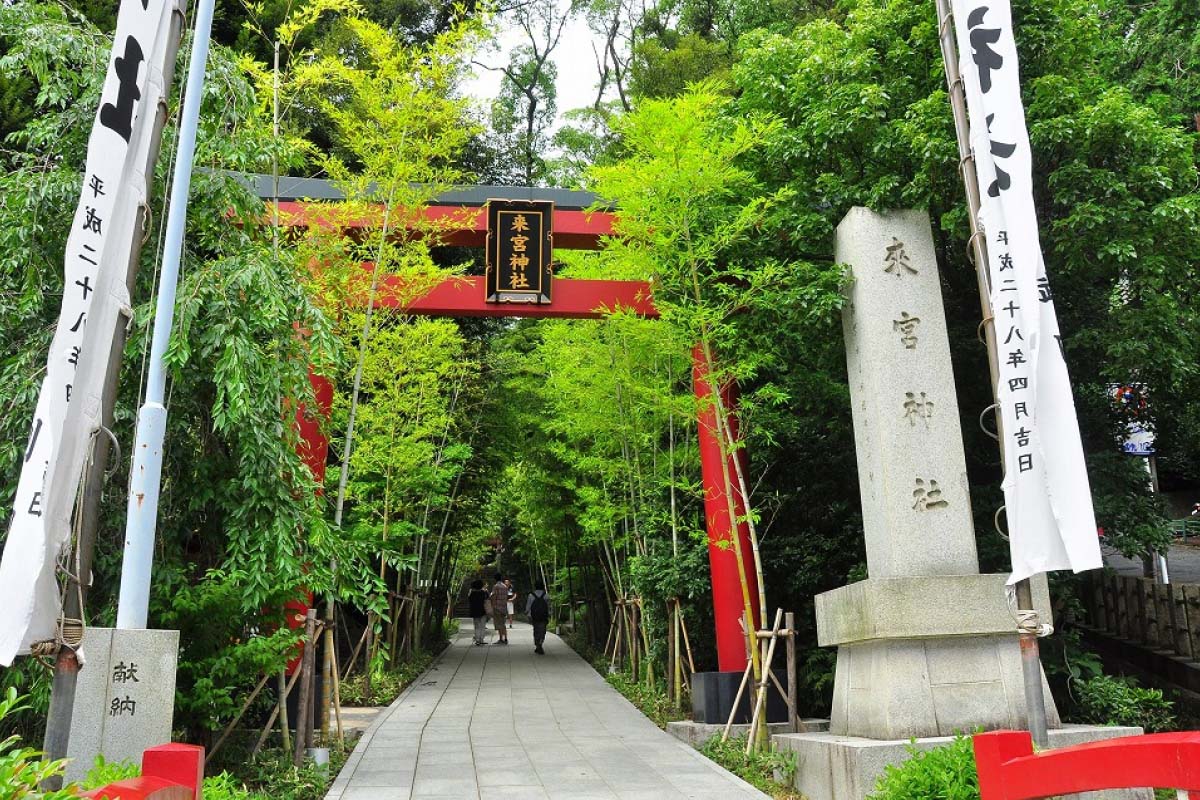 來宮神社 – 来宮神社 境内マップ – QZIOS
