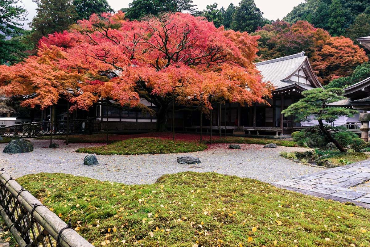 雷山千如寺大悲王院的景點資訊 絕景日本 雷山千如寺大悲王院的景點資訊 絕景日本
