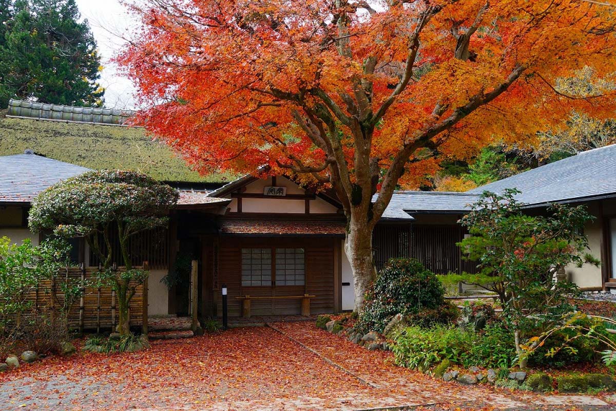 Daijingu Temple of Hawaii – Welcome to the Daijingu Temple