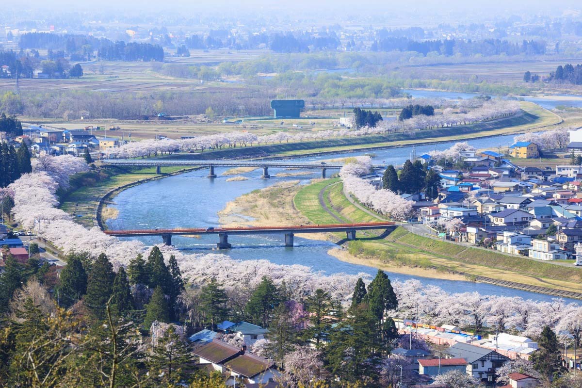 桧木内川桜並木の絶景|ZEKKEI Japan