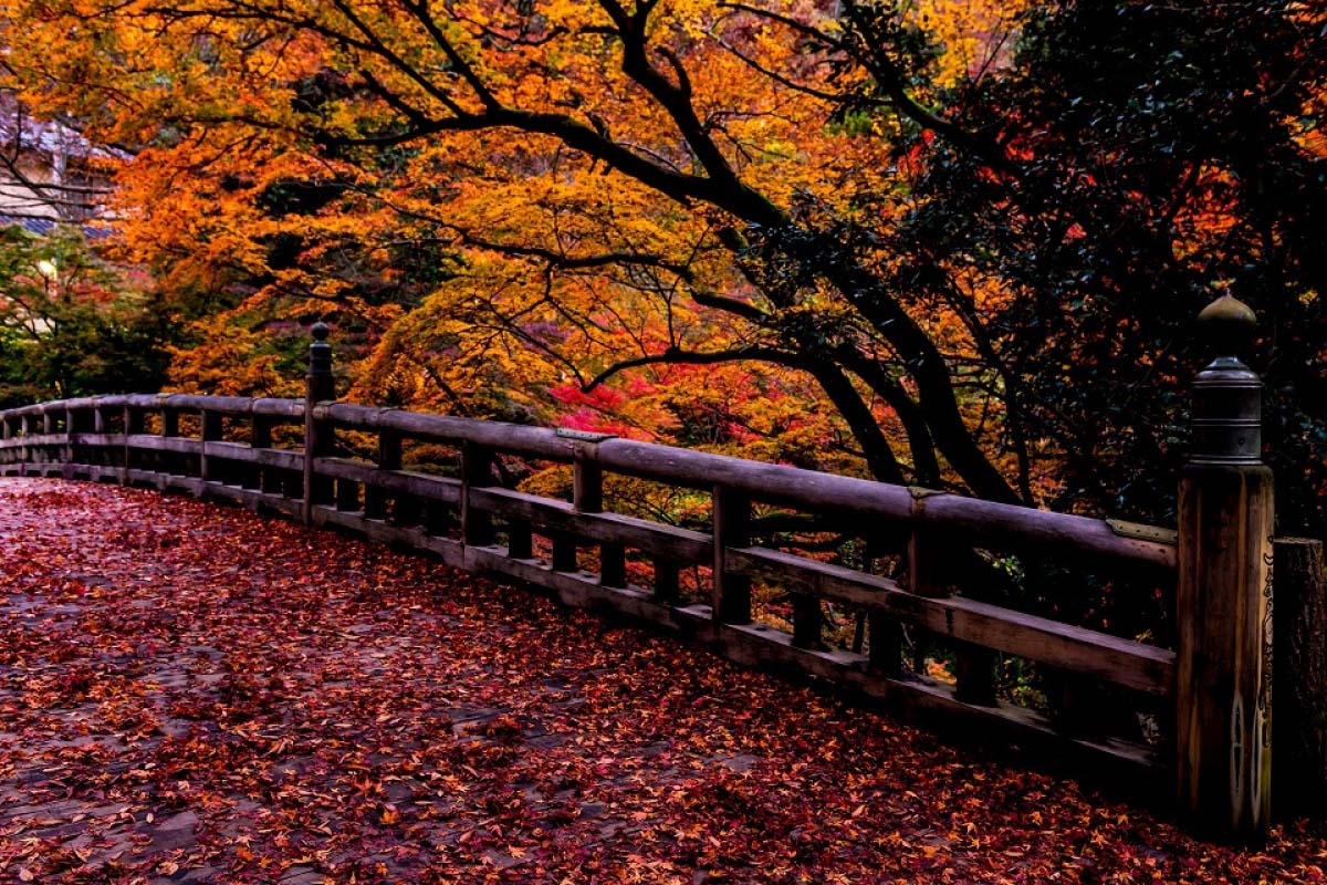 Kakusenkei Gorge | ZEKKEI Japan