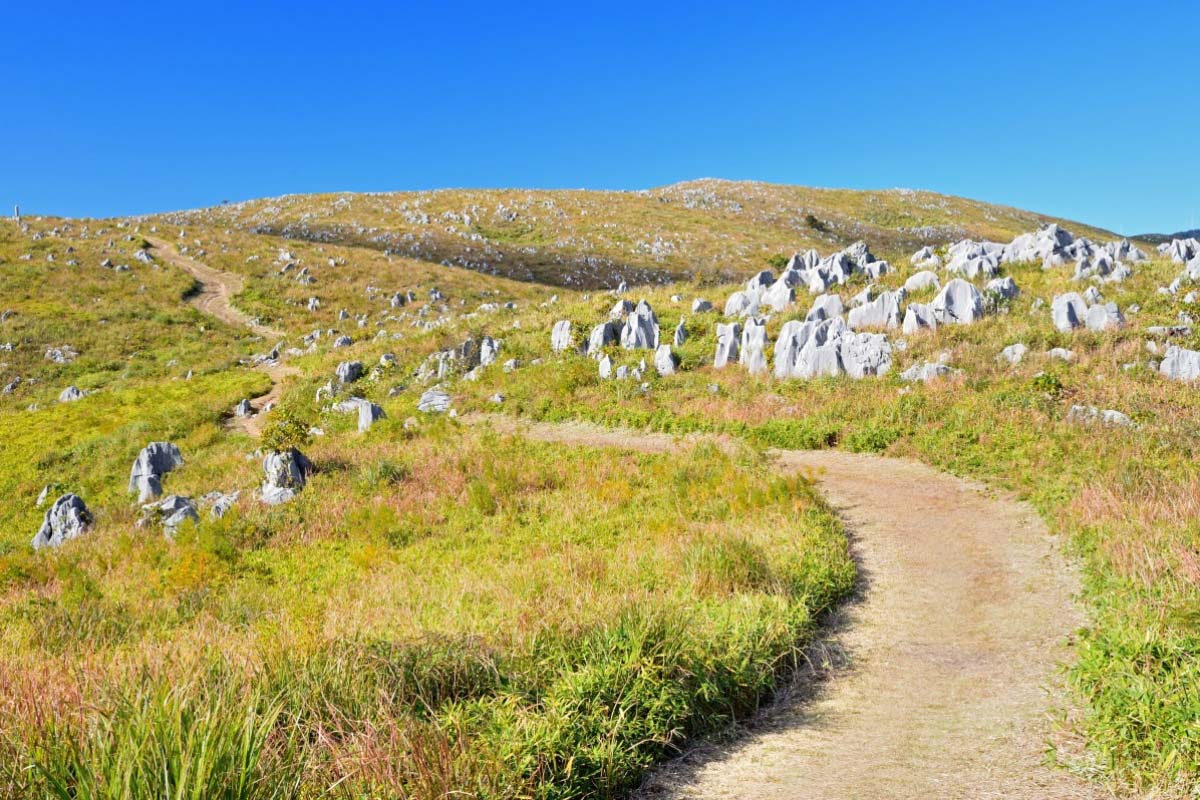 秋吉台的景點資訊 絕景日本