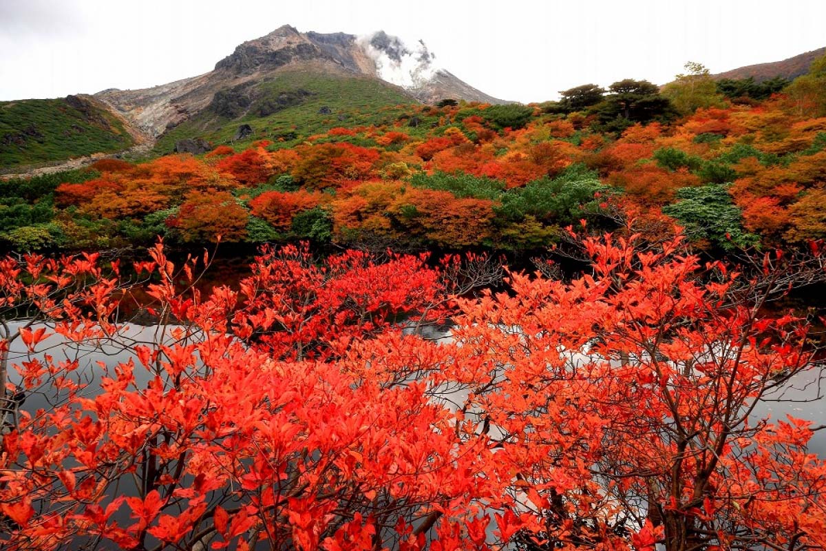 那須茶臼岳の絶景｜ZEKKEI Japan