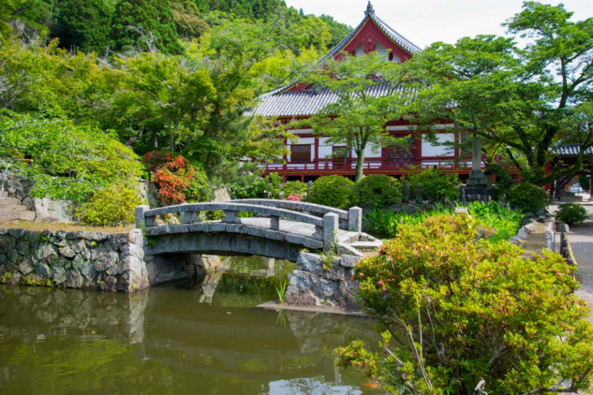 矢田寺(金刚山寺)的景点资讯|绝景日本