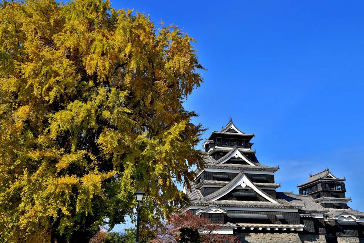 熊本城