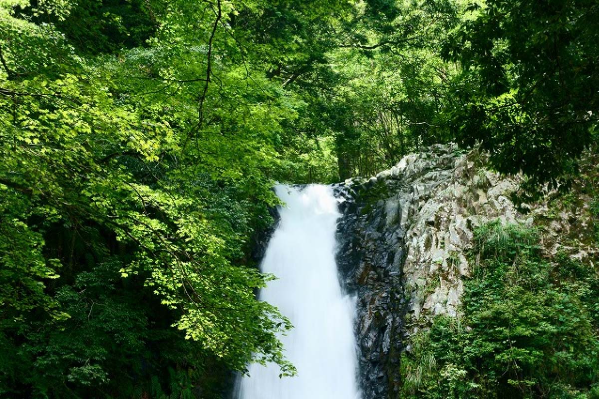 浄蓮の滝 の絶景|ZEKKEI Japan 浄蓮の滝 の絶景|ZEKKEI Japan