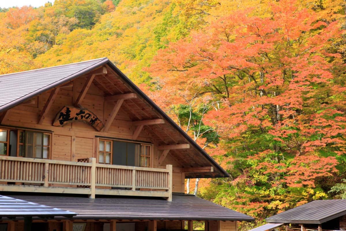 Aoni Onsen (Hot Springs)