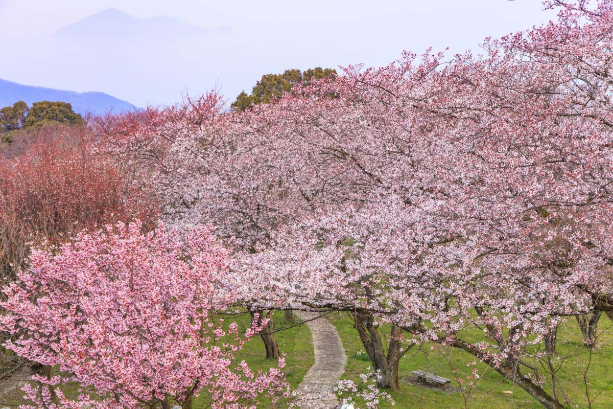 Mount Shiude