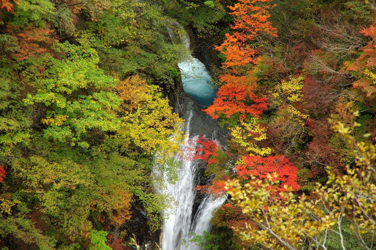 駒止の滝の絶景｜ZEKKEI Japan