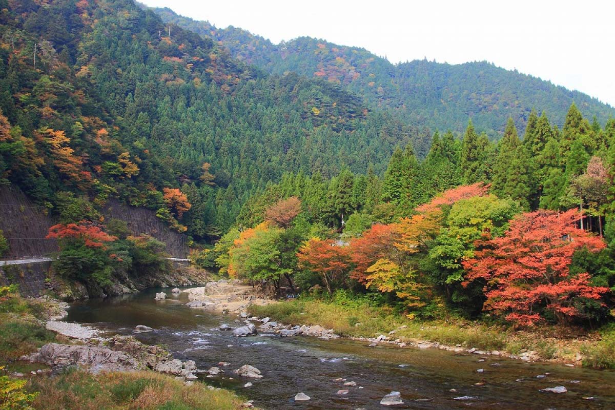 板取川｜岐阜県観光スポット・キャンプ場