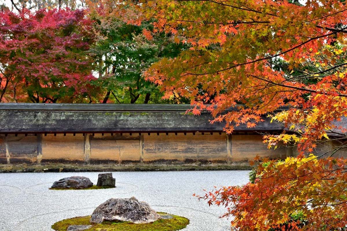 龍安寺の絶景|ZEKKEI Japan