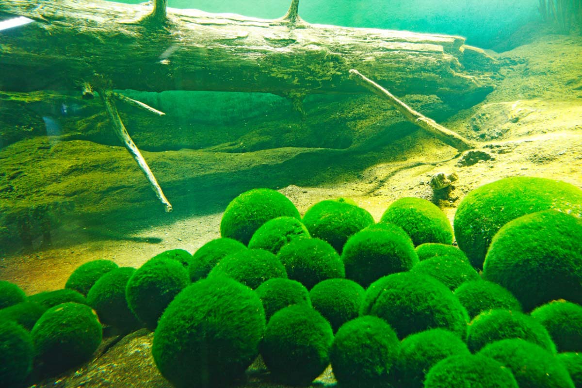 阿寒湖の絶景|ZEKKEI Japan