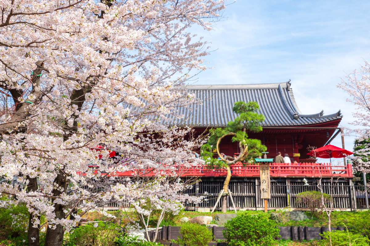 寛永寺清水观音堂