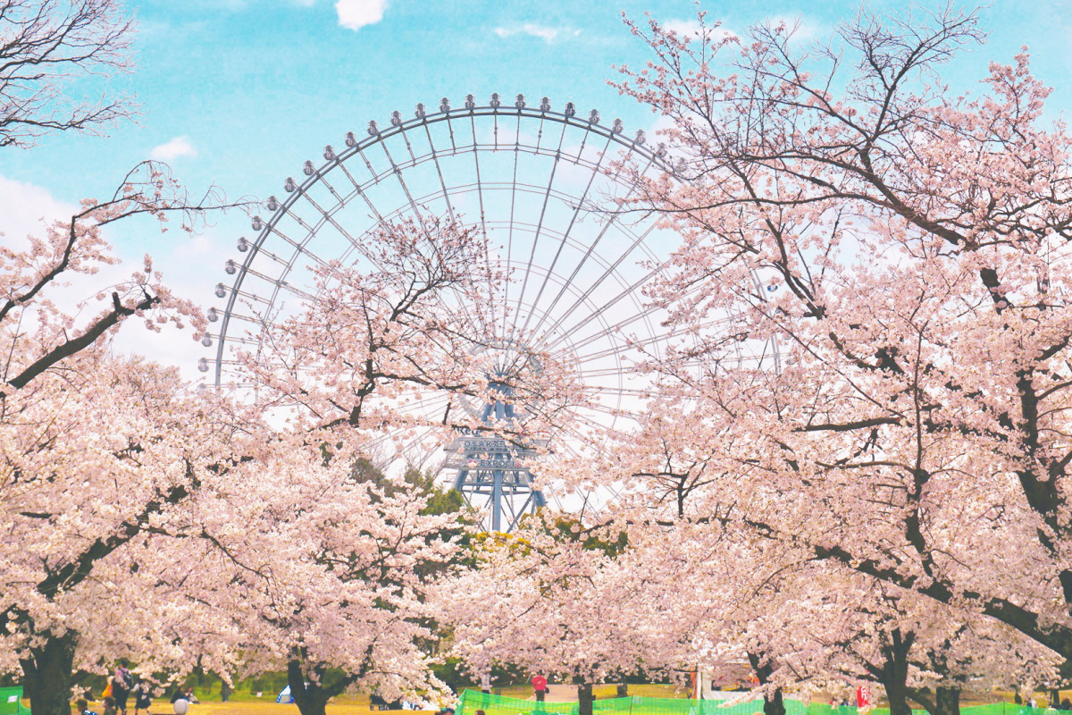 萬 博 紀念 公園