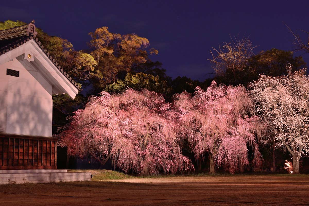 Nijo Castle