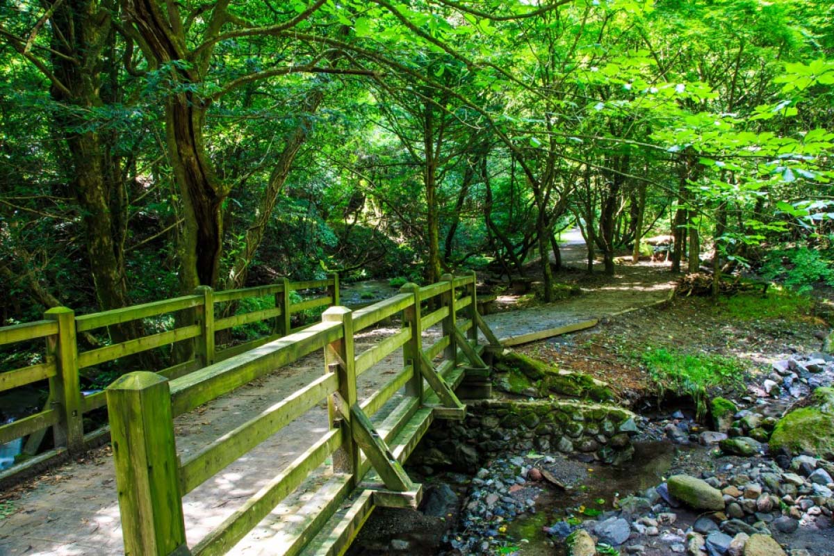 山吹水源的景點資訊 絕景日本