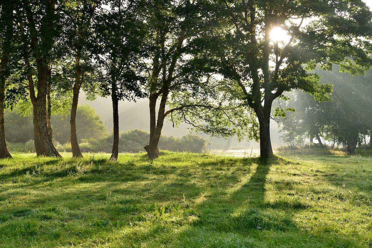 カヤの平の絶景 Zekkei Japan