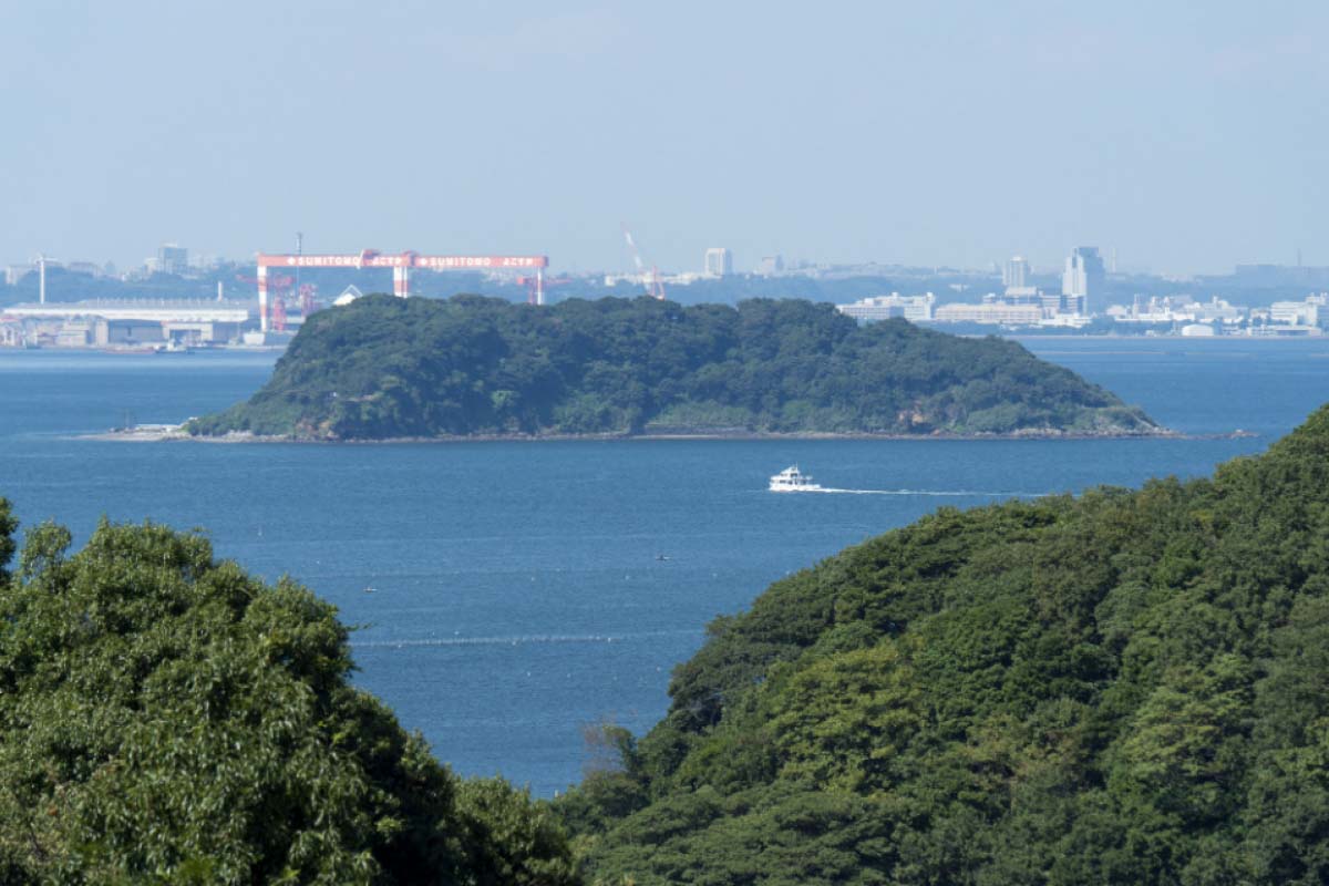 无人岛「猿岛」的景点资讯|绝景日本