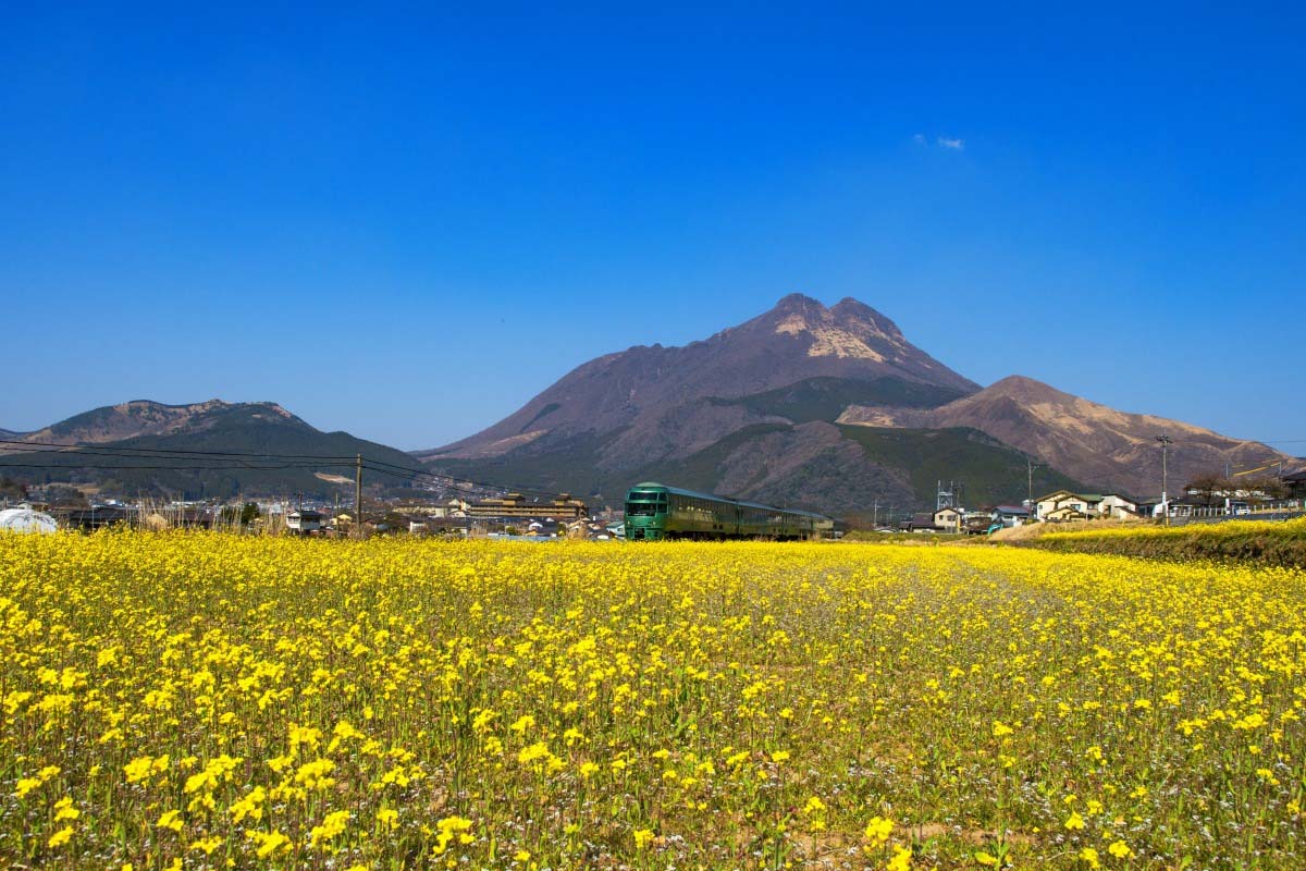 由布岳的景點資訊 絕景日本