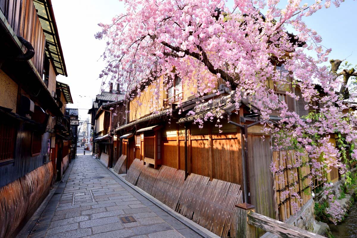 【關西・京都】祇園・花見小路