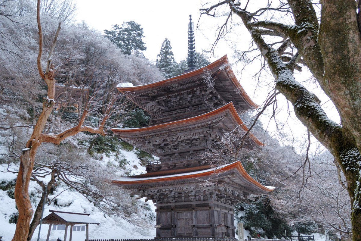 金剛院 金剛院