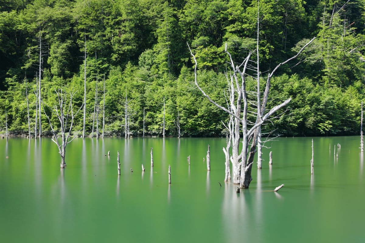 Lake Shizen